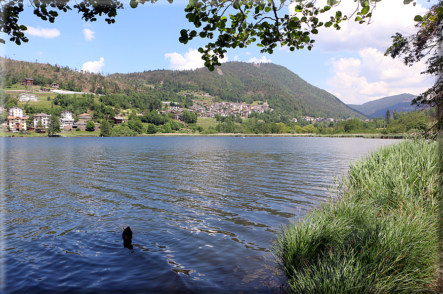 foto Lago della Serraia